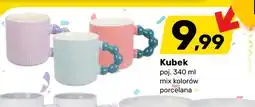 Bricomarche Kubek oferta
