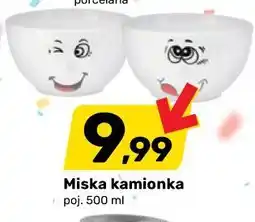Bricomarche Miska kamionka oferta