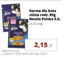 Torimpex Felix Karma dla kota oferta