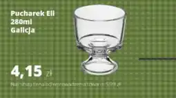 Torimpex Galicja Pucharek Eli oferta