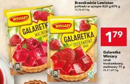 Lewiatan Galaretka Winiary smak truskawkowy oferta