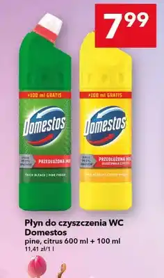 Lewiatan Płyn do czyszczenia WC Domestos pine oferta
