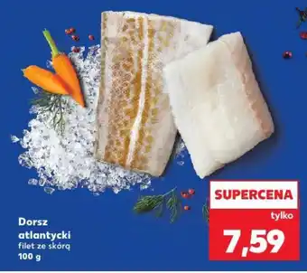 Dorsz atlantycki