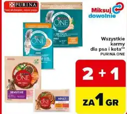 Carrefour Purina One Wszystkie karmy dla psa i kota oferta