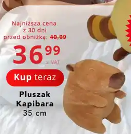 Poczta Polska Pluszak Kapibara oferta
