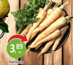 Passa Pietruszka oferta