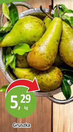 Passa Gruszka oferta