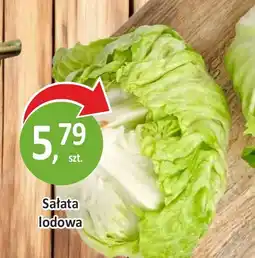 Passa Sałata lodowa oferta