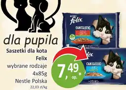 Passa Felix Saszetki dla kota oferta