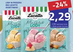 Hildebrandt Lucatto Lody w proszku oferta