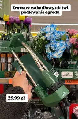 Biedronka Zraszacz wahadłowy gardenic oferta