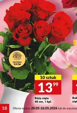 Twój Market Róża cięta 40cm główka 3,8cm 10-pak oferta