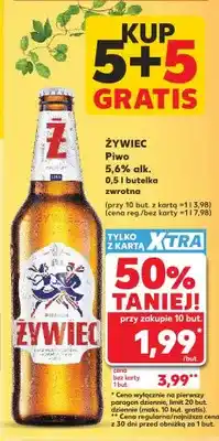 Kaufland Piwo Żywiec 5,6% alk oferta