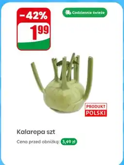 Dino Kalarepa polska oferta