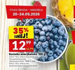 Twój Market Borówka amerykańska oferta