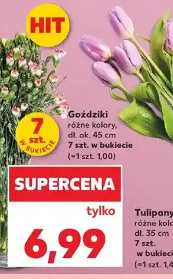Kaufland Goździki dł. ok. 45cm oferta