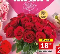 Twój Market Róża bukiet główka 3,8cm 10-pak oferta