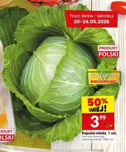 Twój Market Kapusta młoda polska Najlepsze Wielkopolski oferta