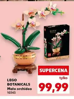 Kaufland Klocki LEGO Botanicals Mała orchidea 10343 oferta