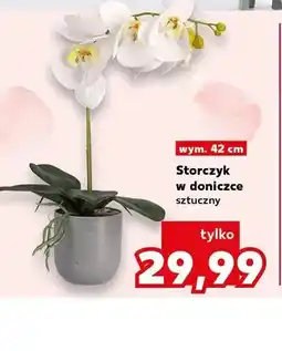 Kaufland Storczyk w doniczce sztuczny 42cm oferta