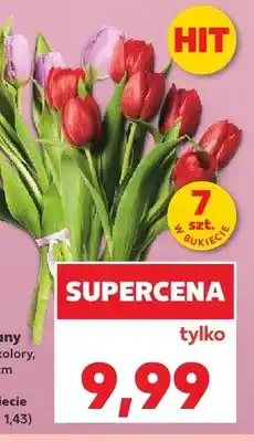 Kaufland Tulipany dł. 35cm oferta