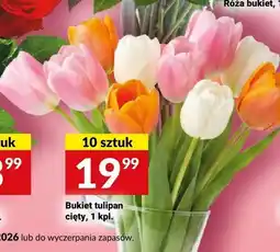 Twój Market Bukiet tulipan cięty 10-pak oferta