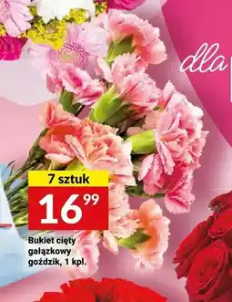 Twój Market Bukiet cięty gałązkowy goździk 7-pak oferta