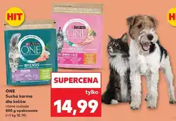 Kaufland Sucha karma dla kotów ONE Bifensis Sensitive oferta