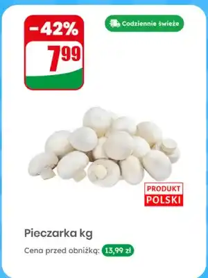 Dino Pieczarka polska oferta