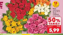 Kaufland Róże dł. ok. 30cm oferta