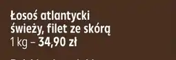 Kaufland Łosoś atlantycki świeży filet ze skórą oferta