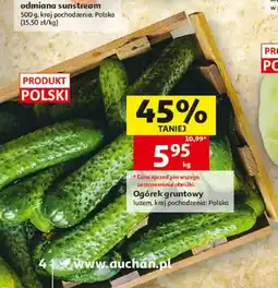 Auchan Ogórek gruntowy polski oferta
