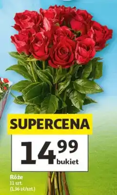 Auchan Róże 11szt oferta