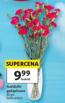 Auchan Goździki gałązkowe 10szt oferta