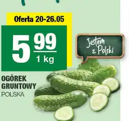 EuroSPAR Ogórek gruntowy oferta