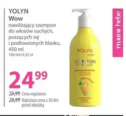 Hebe Nawilżający szampon do włosów suchych, puszących się i pozbawionych blasku Yolyn Wow oferta