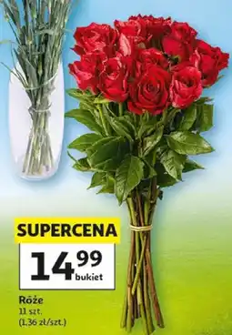 Auchan Róże oferta