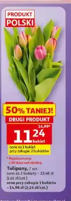 Auchan Tulipany polskie oferta