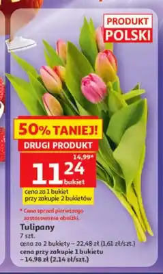 Auchan Tulipany polskie oferta
