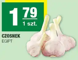 EuroSPAR Czosnek oferta