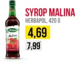 Delikatesy Ribena Herbapol Syrop Malina oferta
