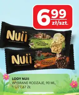 Top Market Nuii Lody oferta