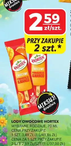 Top Market Hortex Lody owocowe oferta