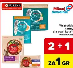 Carrefour Market Wszystkie karmy dla psa i kota** PURINA ONE oferta