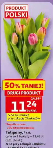 Auchan Tulipany, 7 szt oferta