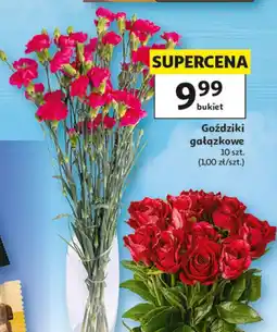 Auchan Goździki oferta