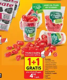Intermarche Pomidor cherry czerwony Z Sadów i Pól oferta