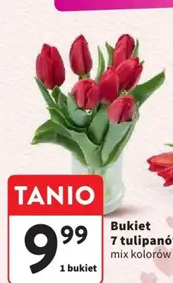 Intermarche Bukiet 7 tulipanów mix kolorów oferta
