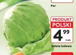 Intermarche Sałata lodowa polska oferta