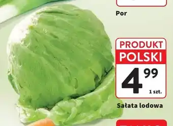 Intermarche Sałata lodowa polska oferta